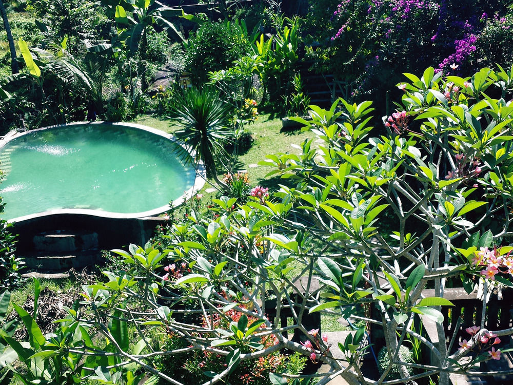 Oyo 1946 Terrace Campuhan Ubud  Bagian luar foto
