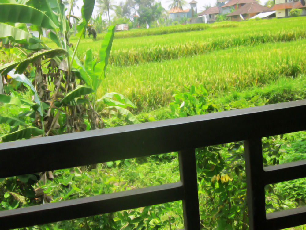 Oyo 1946 Terrace Campuhan Ubud  Bagian luar foto